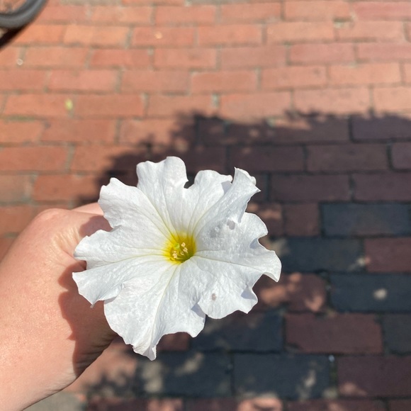 Profile Picture of Mckayla Teahan (@mckaylateahan) on Poshmark