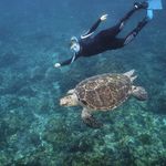 Profile Picture of Amanda Philp (@amanda_philp) on Instagram