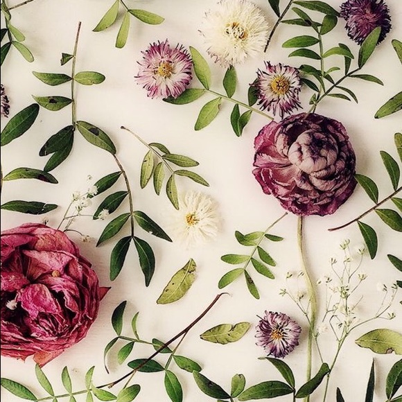 Profile Picture of Samantha Metacarpa (@smetacarpa) on Poshmark