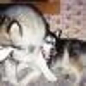 Profile Picture of Brian Sharrow (@325924785) on Myspace