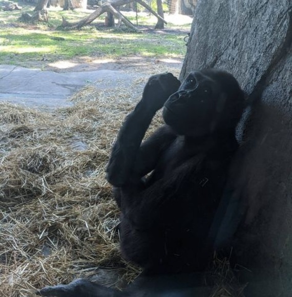 Profile Picture of Heather Mckay (@hlmckay2003) on Poshmark