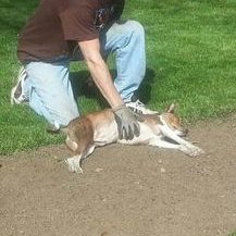 Profile Picture of Mike Perman (@perman_mike) on Twitter