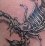 Jan Kopitzke - Facebook Profile Picture of Jan Kopitzke (@jan.kopitzke.3) on Facebook