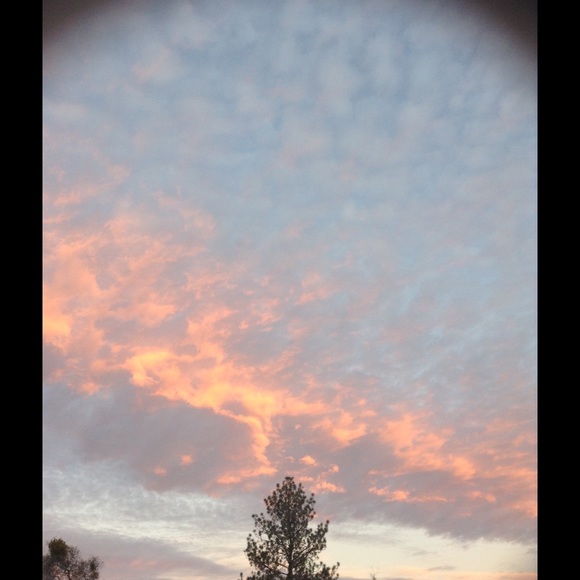 Profile Picture of Isabela A (@isabela135) on Poshmark