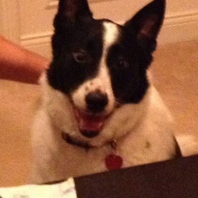Profile Picture of Gary Huff (@garybrhuff) on Twitter