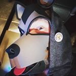 Profile Picture of Toby Wolf (@itstobywolf) on Instagram