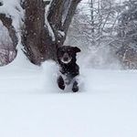 Nancy Sitzer - Instagram Profile Picture of Nancy Sitzer (@nfsitz) on Instagram