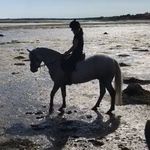 Profile Picture of Aisling O'Connell (@aisoconnell) on Instagram