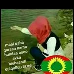 Profile Picture of kiyyaa (@meseret.kebede.12979431) on Instagram