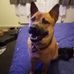 Profile Picture of Daniel Kimbley (@daniel.kimbley.7) on Facebook
