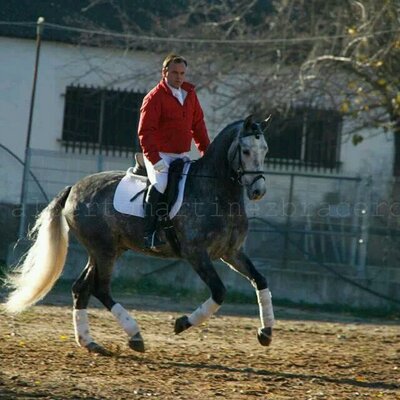 Profile Picture of Jose Antonio Pintor (@jose_apm) on Twitter