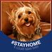 Profile Picture of Paul Lloyd (@paul.lloyd.716195) on Facebook