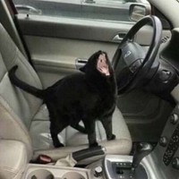 Profile Picture of Ronald Moore (@ronald-moore-216) on Quora