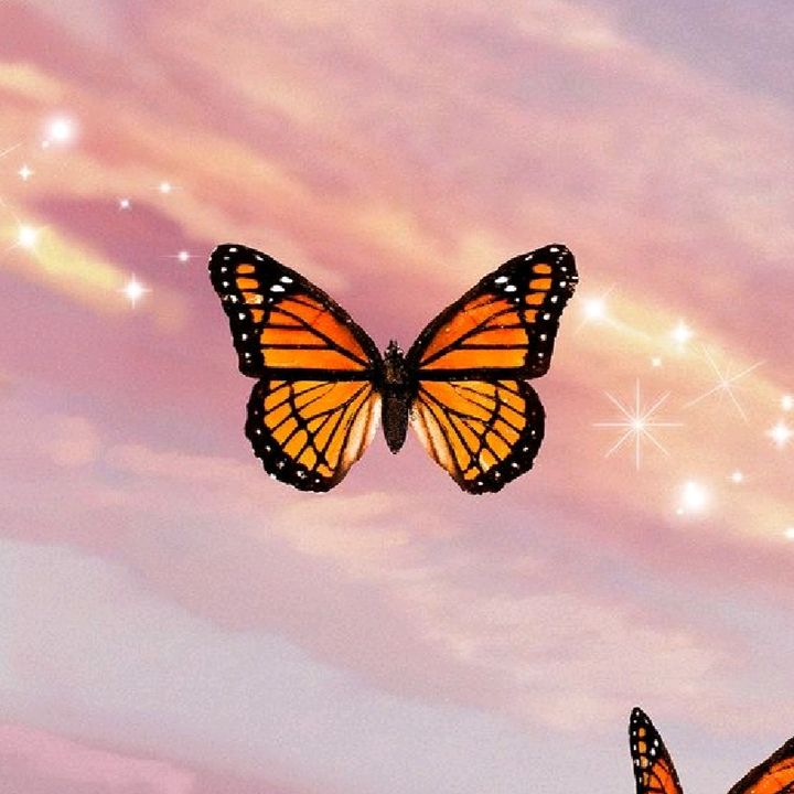 Profile Picture of yasmin jaffer (@yasmin_jaffer) on Tiktok