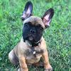 Profile Picture of Kim Devlin (@@marleythemagnificent1) on Tiktok
