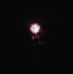 Profile Picture of Kevin Caines (@kevin.caines.3) on Facebook