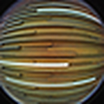 Profile Picture of Zeitone (@zeitone) on Flickr