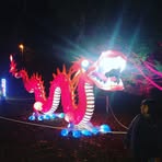 Profile Picture of Márk Verebey (@mark.verebey.5) on Facebook