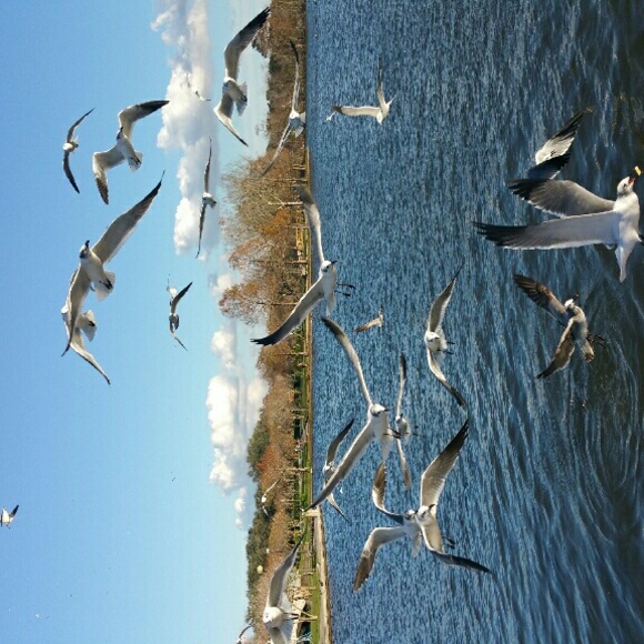 Profile Picture of Martha Montemayor (@martha_monte16) on Poshmark