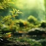 Profile Picture of Charles Renner (@Charles-Renner) on Facebook