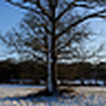 Profile Picture of David Houghton (@DavidHoughton2009) on Flickr