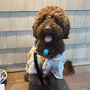 Profile Picture of Edward McMahon (@edwardmcmahon2212) on Youtube