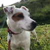 Profile Picture of Peter Finch (@@peterfinch502) on Tiktok
