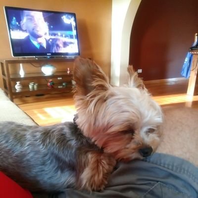 Profile Picture of Joe Cabello (@JoeCabello5) on Twitter