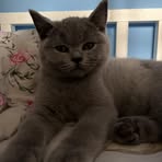 Profile Picture of Michał Eggert (@Michał-Eggert) on Facebook