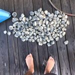 Matthew LaSorsa - Instagram Profile Picture of Matthew LaSorsa (@matthewthomasphotography) on Instagram