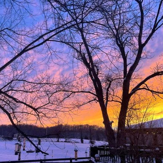 Profile Picture of Michael&Ashley (@michael.hounshell7) on Tiktok