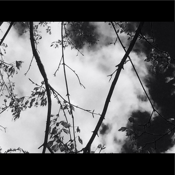 Profile Picture of Morgan Campbell (@morgan2611) on Poshmark