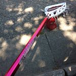 matthew miceli - Instagram Profile Picture of matthew miceli (@lax.universe) on Instagram