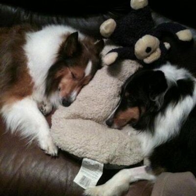 Profile Picture of Richard Shreckengost (@thatroolz) on Twitter