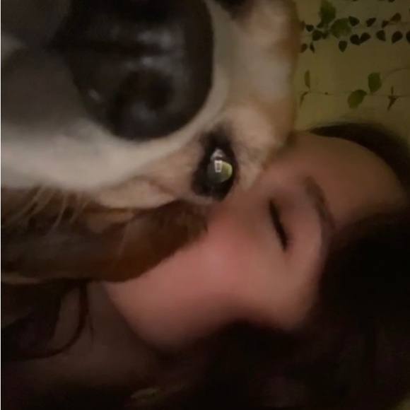 Profile Picture of Brooke Gillingham (@brookegillin812) on Poshmark