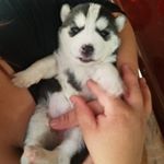 Profile Picture of Christian Berumen (@christian.a.berumen) on Instagram