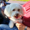Profile Picture of Dawn (@@james.dawn) on Tiktok
