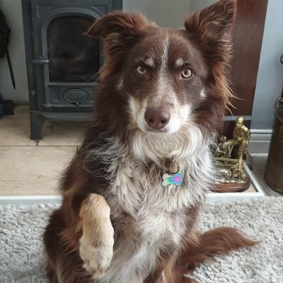 Profile Picture of Julie Anne (@JulieIbbitson) on Twitter