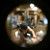 Profile Picture of Greg Altomare (@galto95) on Pinterest