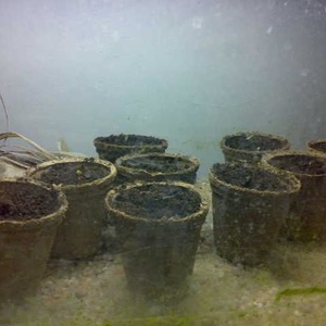 Profile Picture of Rafał Woźniak (@431395721) on Myspace