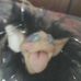Profile Picture of Ernest Bertrand (@ernest.bertrand.92) on Facebook