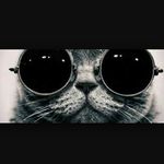 Profile Picture of Samer Rawashdeh (@sa.rawashdeh) on Instagram