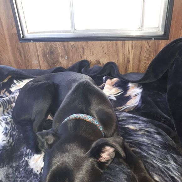 Profile Picture of Keith Christensen (@merkurman) on Poshmark