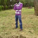 Profile Picture of Joshua Frank (@joshua_frank) on Instagram