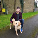 Steven Dog Walker/sitter/board - Instagram Profile Picture of Steven Dog Walker/sitter/board (@stevenhayward1) on Instagram