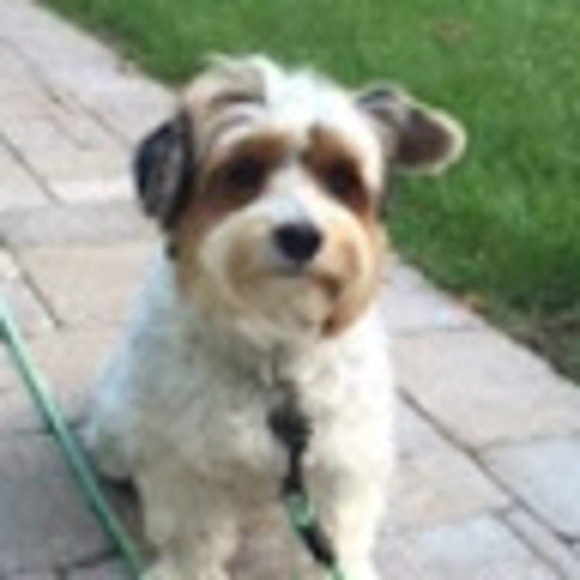 Profile Picture of Murray Froelich (@murrayfroelich) on Poshmark