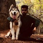 Profile Picture of Bharath Raj (@lover_of_husky) on Instagram