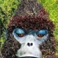Profile Picture of Andre Drolet (@andre-drolet) on Quora