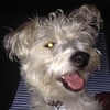 Profile Picture of nathanrandallsquires (@@nathanrandallsquires) on Tiktok