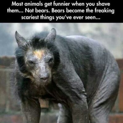 Profile Picture of Joelgallimore (@wastedjoelio) on Twitter